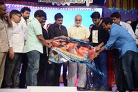 Govindudu Andarivadele Audio Function Photos